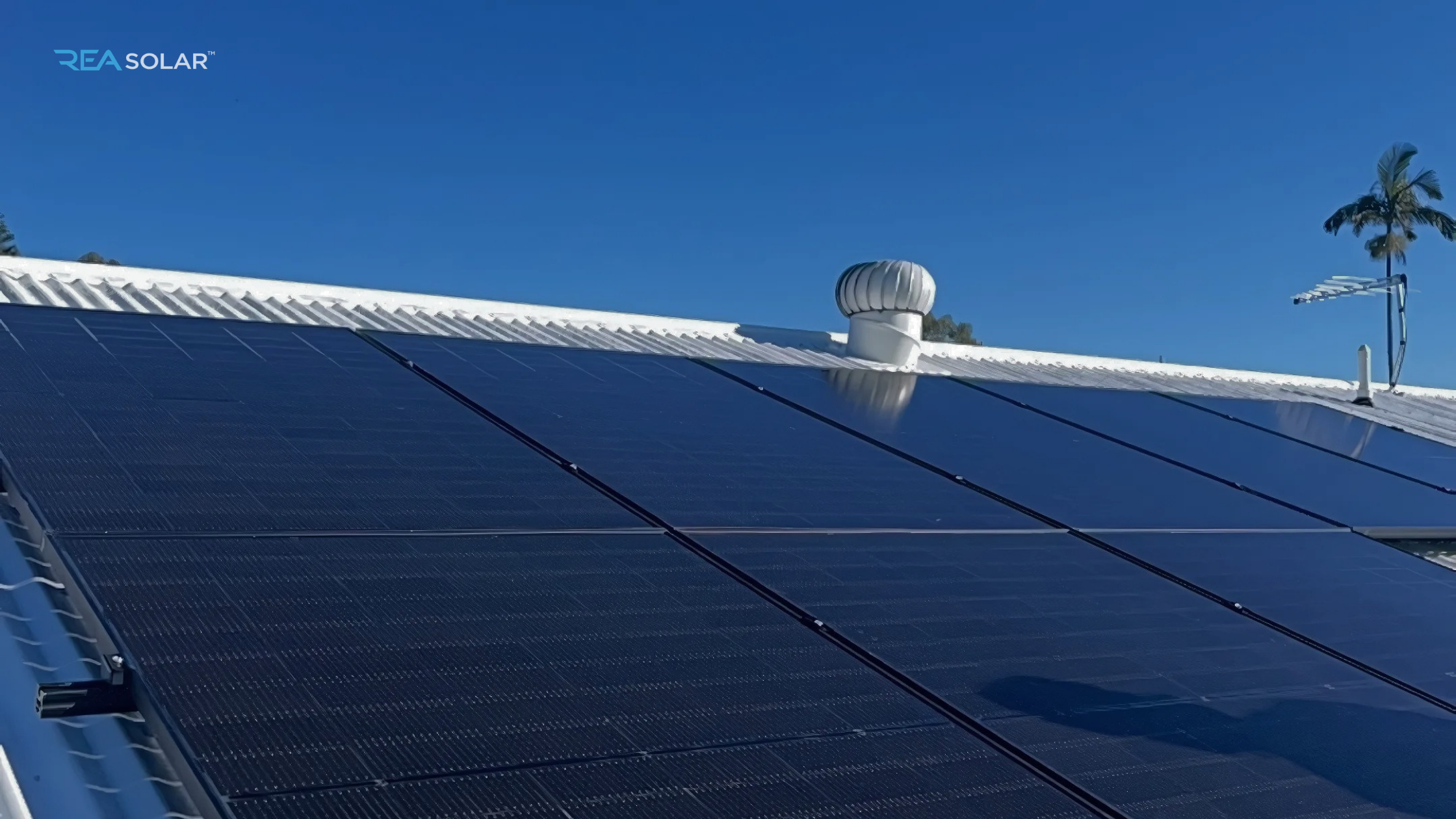 olar panels on a white metal roof under a clear blue sky. A lone palm tree and a ventilator are visible in the background.