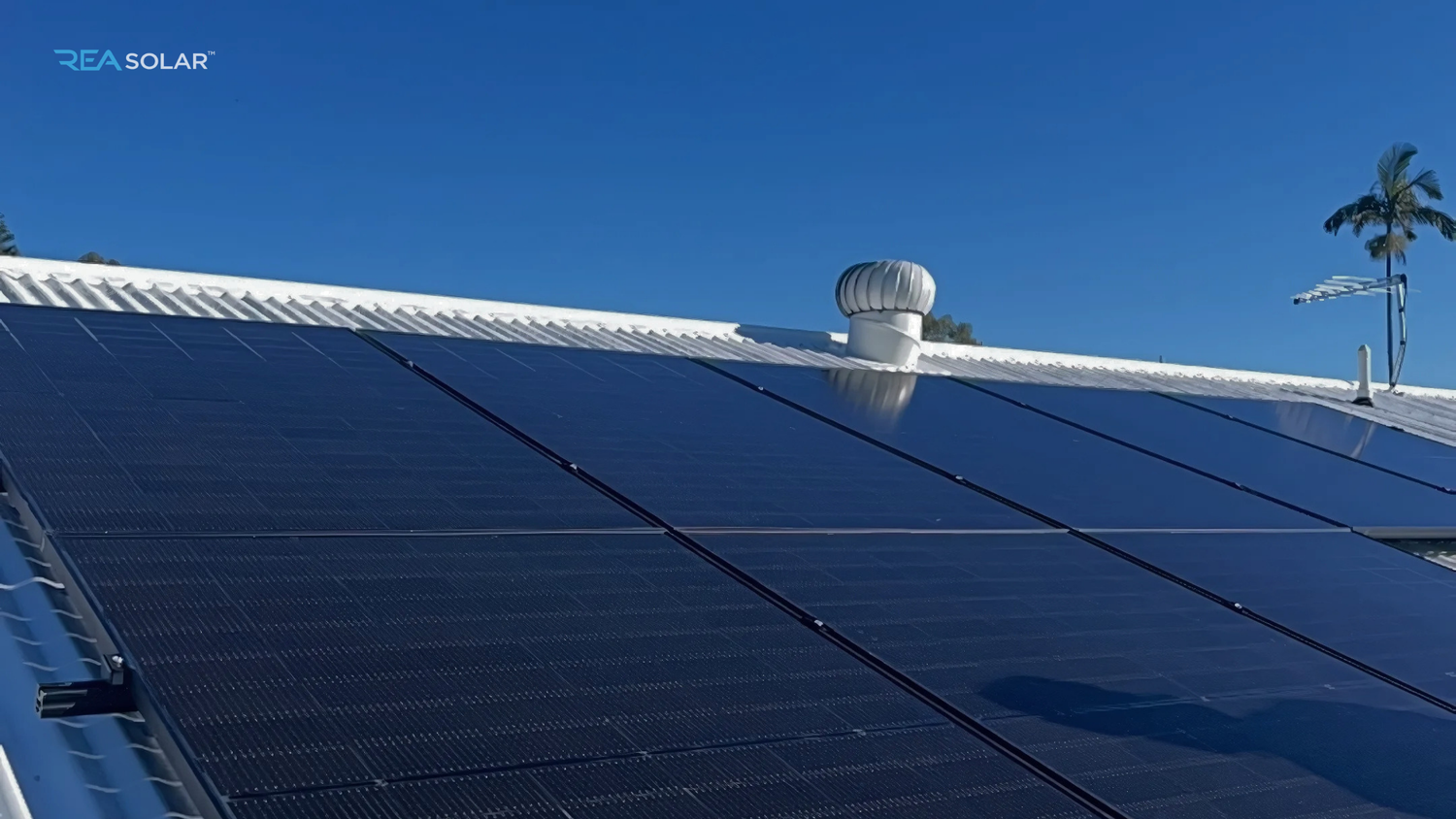 olar panels on a white metal roof under a clear blue sky. A lone palm tree and a ventilator are visible in the background.